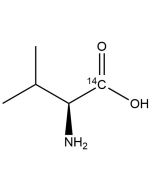 L-Valine, [1-14C]-