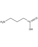 ?-Aminobutyric acid, [1-14C]-