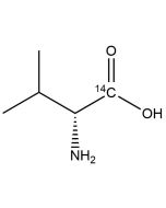 D-Valine, [1-14C]-