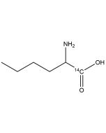 D-Norleucine, [1-14C]-