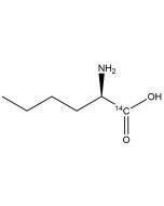 L-Norleucine, [1-14C]-