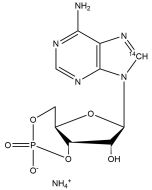 Adenosine 3',5'-cyclic phosphate, ammonium salt, [8-14C]-