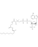 Decanoyl coenzyme A, [decanoic acid-1-14C]-