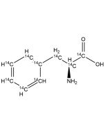L-Phenylalanine, [14C(U)]-