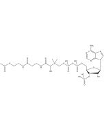 Acetyl coenzyme A, [acetyl-1-14C]-