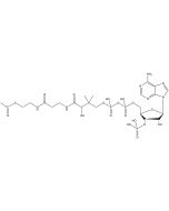 Acetyl coenzyme A, [acetyl-1-14C]- CAT Assay Grade