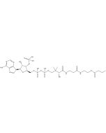 Butyryl coenzyme A [butyryl-1-14C]- CAT ASSAY GRADE