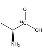 L-Alanine, [1-14C]-