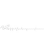 Stearoyl Coenzyme A, [stearoyl-9,10-3H]-