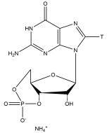 Guanosine 3',5'-cyclic phosphate, ammonium salt, [8-3H]-
