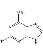 Adenine, [2-3H(N)]-