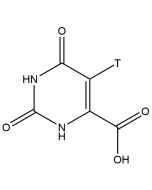 Orotic acid, [5-3H]-