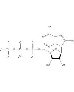 8-azidoadenosine 5 'triphosphate [gamma-P33], 3000 Ci/mmol, 10 mCi/ml