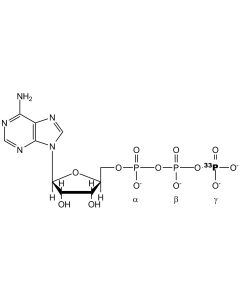 [gamma-P33]ATP, 30 Ci/mmol, 10 mCi/ml, carrier-free