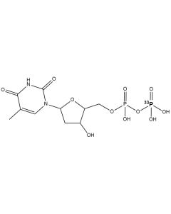 [beta-P-33]dTDP, 3000 Ci/mmol, 20 mCi/ml