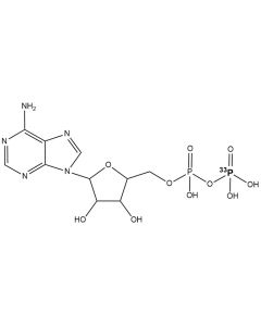 [beta-P-33]ADP, 3000 Ci/mmol, 20 mCi/ml