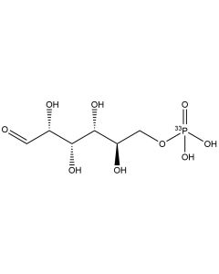 [P33]D-Glucose-6-phosphate, 3000 Ci/mmol, 10 mCi/ml