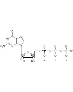 [alpha-P33]dGTP, 3000 Ci/mmol, 12 mCi/ml