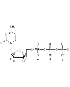 [alpha-P33]dCTP, 3000 Ci/mmol, 10 mCi/ml