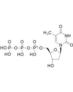 [alpha-P33]dTTP, 3000 Ci/mmol, 12 mCi/ml