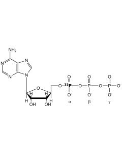 [alpha-P33]ATP, 3000 Ci/mmol, 20 mCi/ml