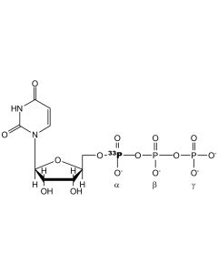 [alpha-P33]UTP, 3000 Ci/mmol, 20 mCi/ml