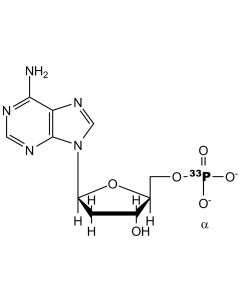 [alpha-P33]dAMP, 3000 Ci/mmol, 10 mCi/ml