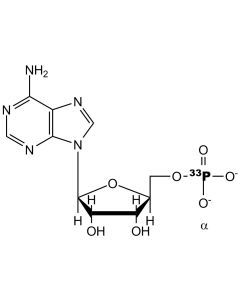 [alpha-P33]AMP, 3000 Ci/mmol, 10 mCi/ml