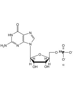 [alpha-P33]GMP, 3000 Ci/mmol, 20 mCi/ml