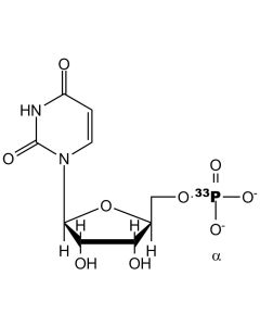 [alpha-P33]UMP, 3000 Ci/mmol, 10 mCi/ml