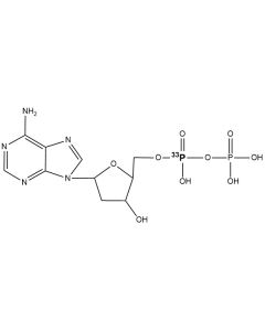 [alpha-P33]dADP, 3000 Ci/mmol, 10 mCi/ml
