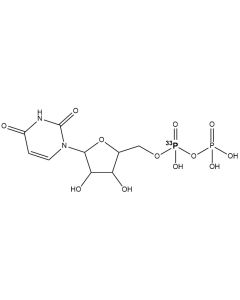 [alpha-P33]UDP, 3000 Ci/mmol, 20 mCi/ml