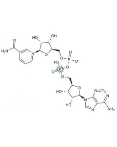 [adenylate-P33], Nicotinamide Adenine Dinucleotide, 3000 Ci/mmol, 10 mCi/ml