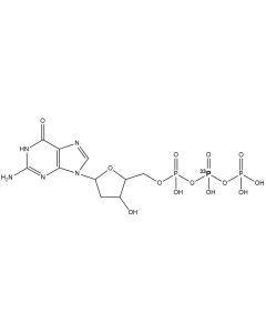 [beta-P33]dGTP, 3000 Ci/mmol, 20 mCi/ml