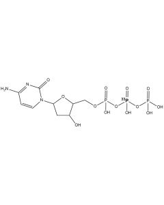 [beta-P33]dCTP, 3000 Ci/mmol, 10 mCi/ml