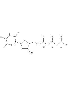 [beta-P33]dTTP, 3000 Ci/mmol, 10 mCi/ml