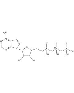 [beta-P33]ATP, 3000 Ci/mmol, 10 mCi/ml