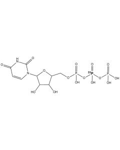 [beta-P33]UTP, 3000 Ci/mmol, 10 mCi/ml