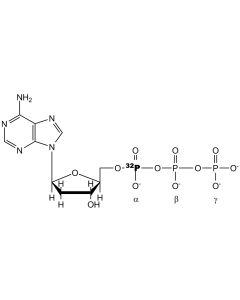 [alpha-P32]dATP, 400 Ci/mmol, 20 mCi/ml