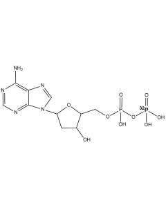 [beta-P32]dADP, 6000 Ci/mmol, 10 mCi/ml