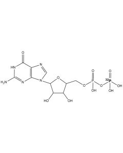 [beta-P32]GDP, 6000 Ci/mmol, 10 mCi/ml