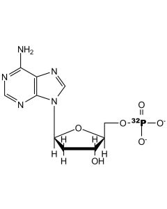 [alpha-P32]dAMP, 6000 Ci/mmol, 10 mCi/ml
