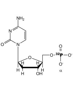 [alpha-P32]dCMP, 6000 Ci/mmol, 20 mCi/ml