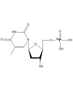 [alpha-P32]dTMP, 6000 Ci/mmol, 10 mCi/ml