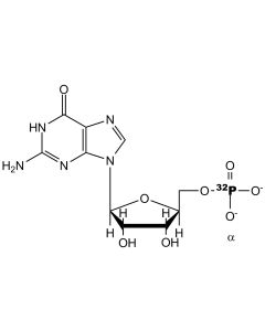 [alpha-P32]GMP, 6000 Ci/mmol, 10 mCi/ml