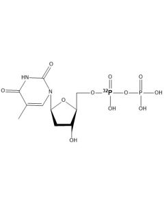 [alpha-P32]dTDP, 6000 Ci/mmol, 10 mCi/ml