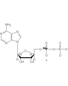 [alpha-P32]ADP, 6000 Ci/mmol, 20 mCi/ml