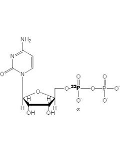 [alpha-P32]CDP, 6000 Ci/mmol, 20 mCi/ml