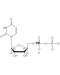 [alpha-P32]UDP, 6000 Ci/mmol, 10 mCi/ml