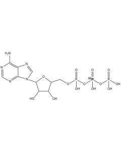 [beta-P32]ATP, 6000 Ci/mmol, 10 mCi/ml